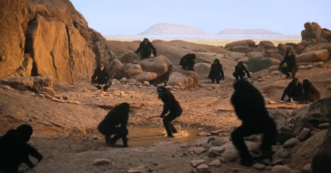 Los simios evolucionados defienden su territorio