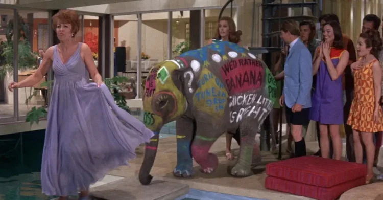 Un elefante pintado se cuela en la fiesta y su baño en la piscina acaba por dinamitar la tranquilidad